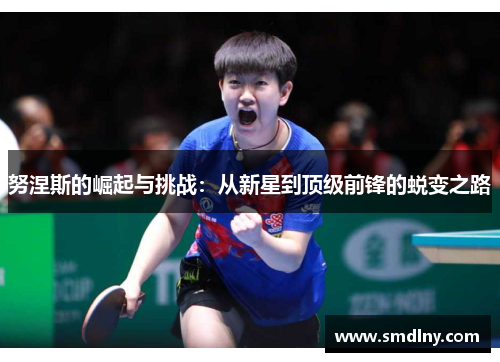 努涅斯的崛起与挑战：从新星到顶级前锋的蜕变之路