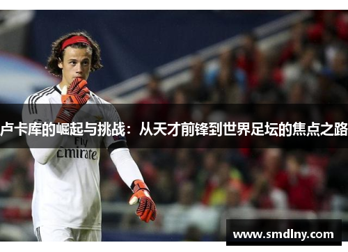 卢卡库的崛起与挑战：从天才前锋到世界足坛的焦点之路