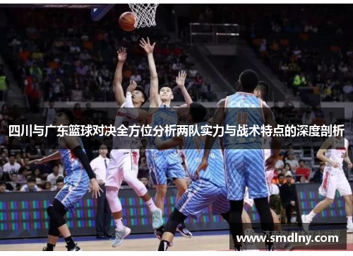 四川与广东篮球对决全方位分析两队实力与战术特点的深度剖析