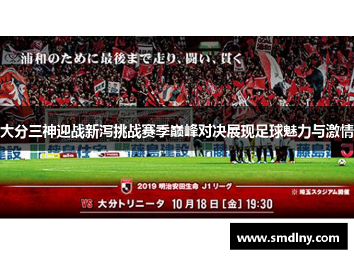 大分三神迎战新泻挑战赛季巅峰对决展现足球魅力与激情