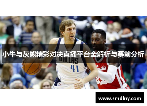 小牛与灰熊精彩对决直播平台全解析与赛前分析