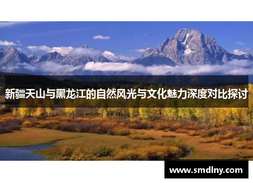 新疆天山与黑龙江的自然风光与文化魅力深度对比探讨