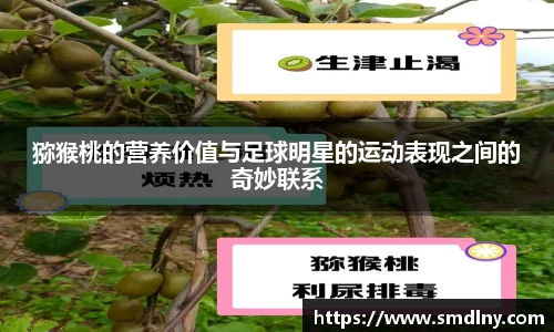 猕猴桃的营养价值与足球明星的运动表现之间的奇妙联系
